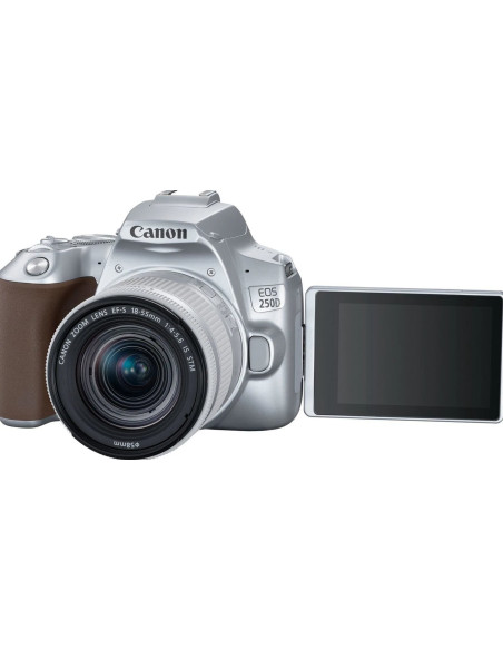 EOS 250D + EF-S 18-55mm f/4-5.6 IS STM Argento